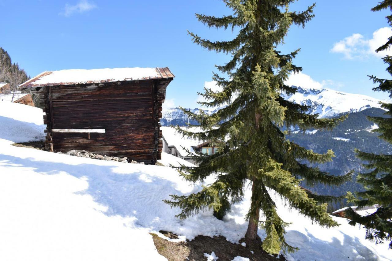 Sportlodge Muerren Экстерьер фото