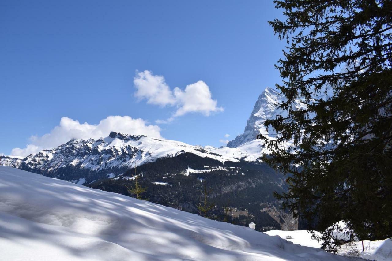 Sportlodge Muerren Экстерьер фото